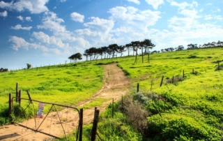 Image of Land and Private Road Protected by a Fence