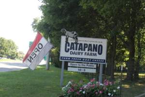 Catapano Dairy Farm