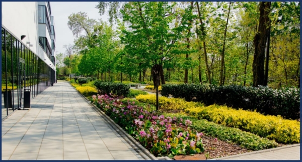 Image of blooming spring flowers on a commercial property